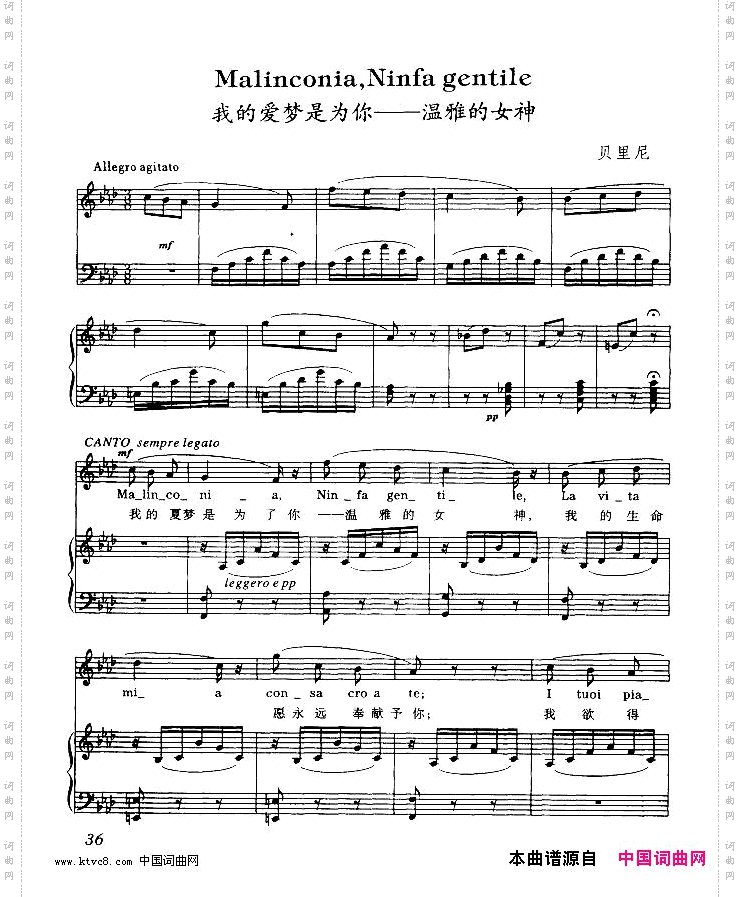 我的爱梦是为你-温雅的女神