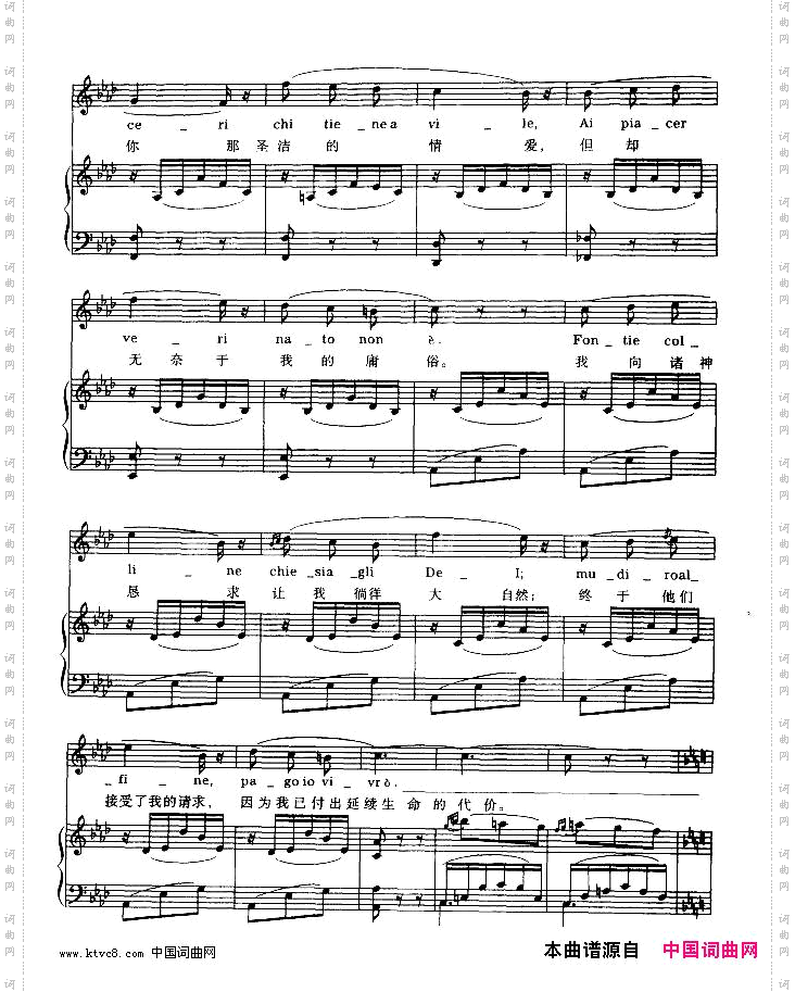 我的爱梦是为你-温雅的女神