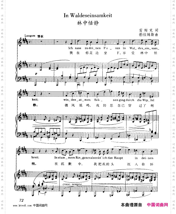 林中恬静