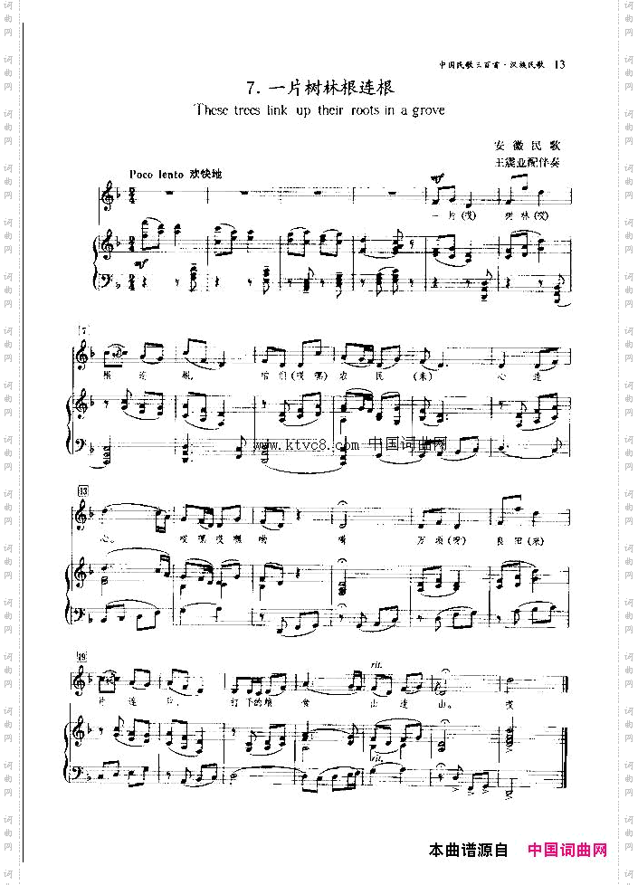 一片树林根连根