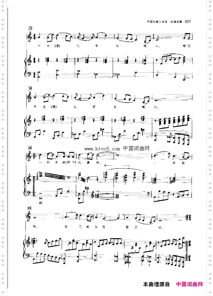 山东开花红艳艳