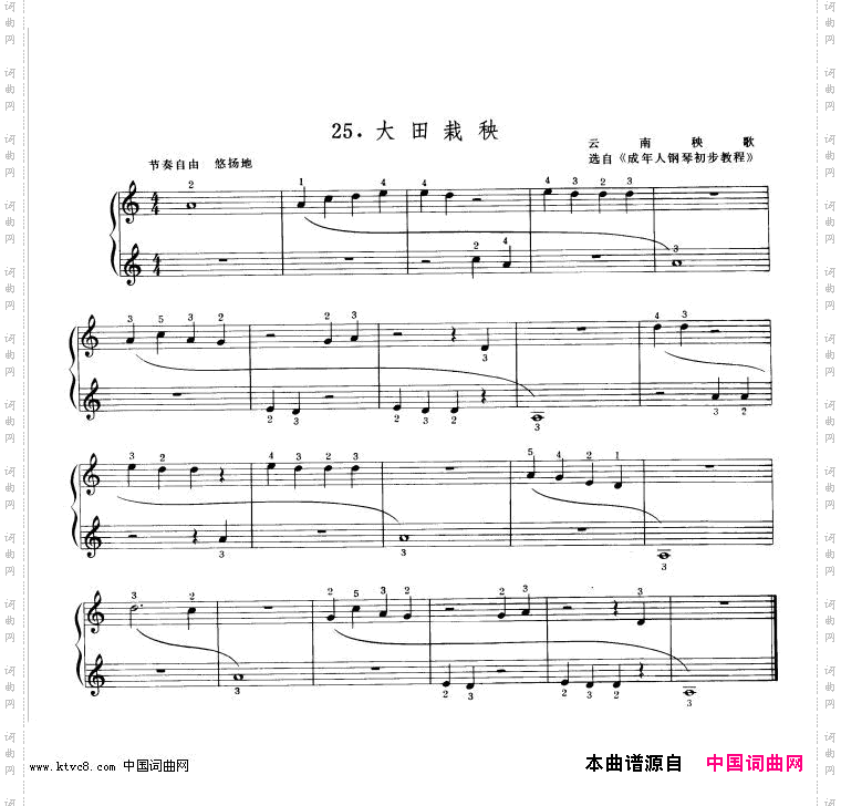 大田栽秧