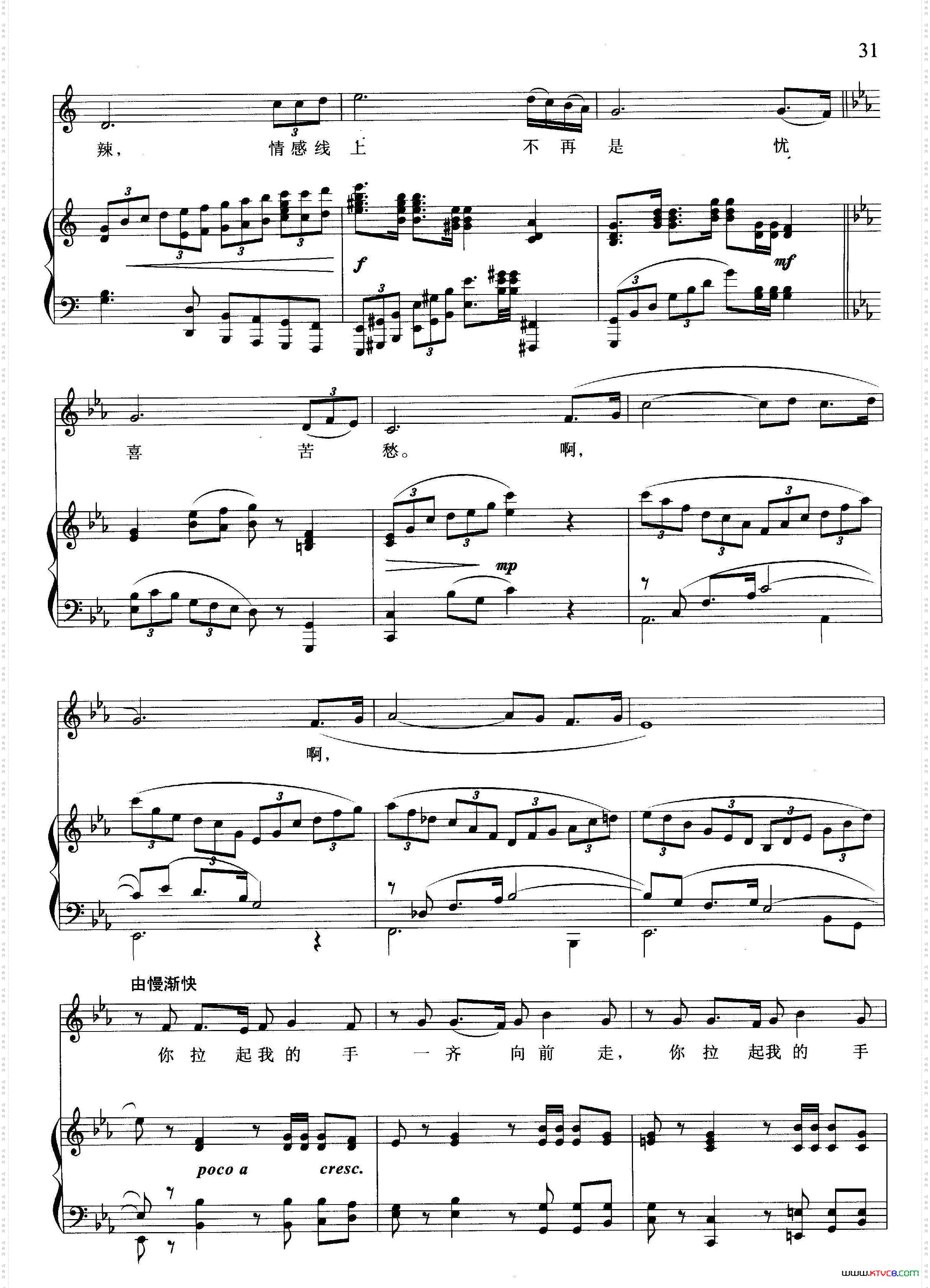 男子汉应该像枫叶五线谱