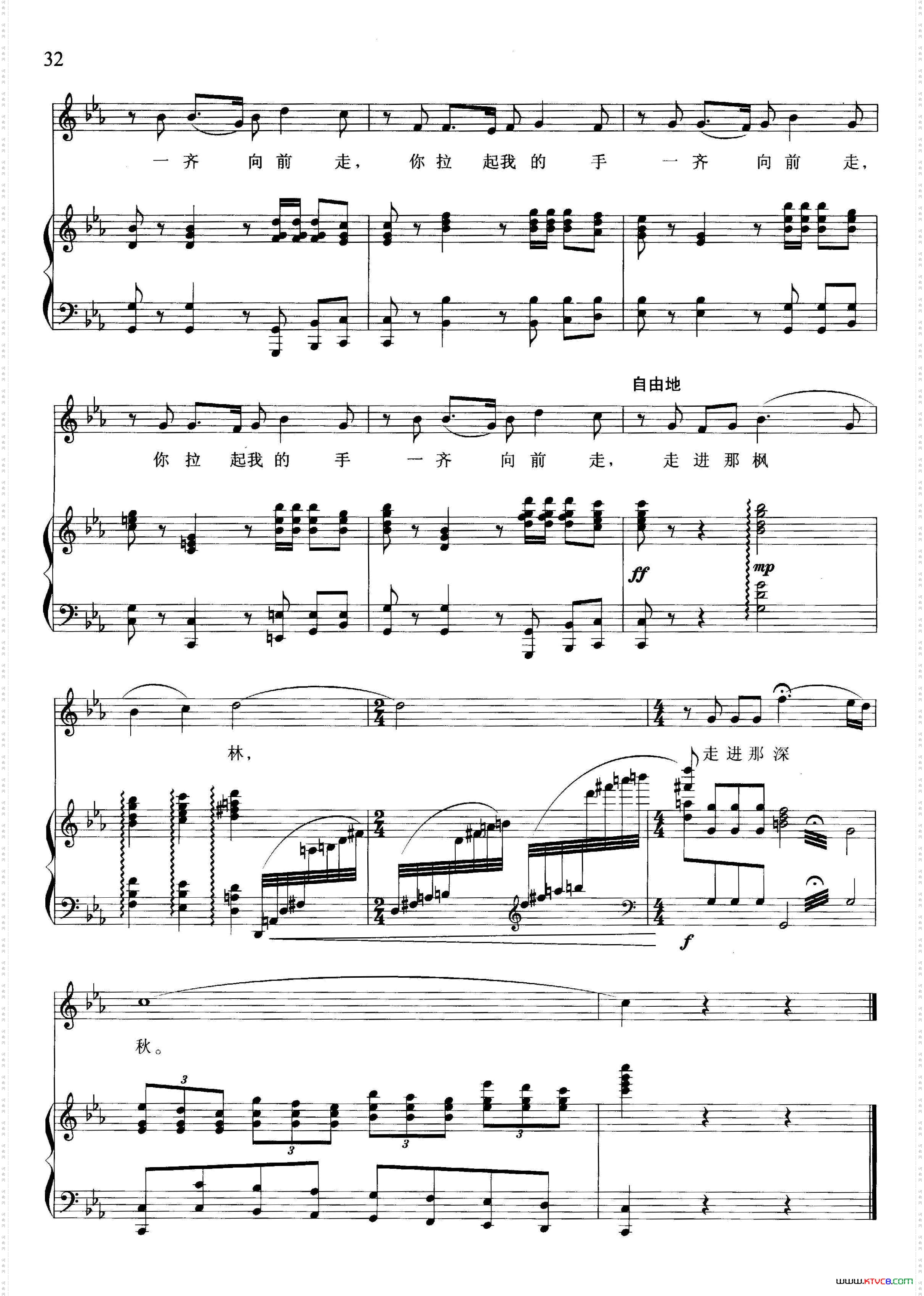 男子汉应该像枫叶五线谱