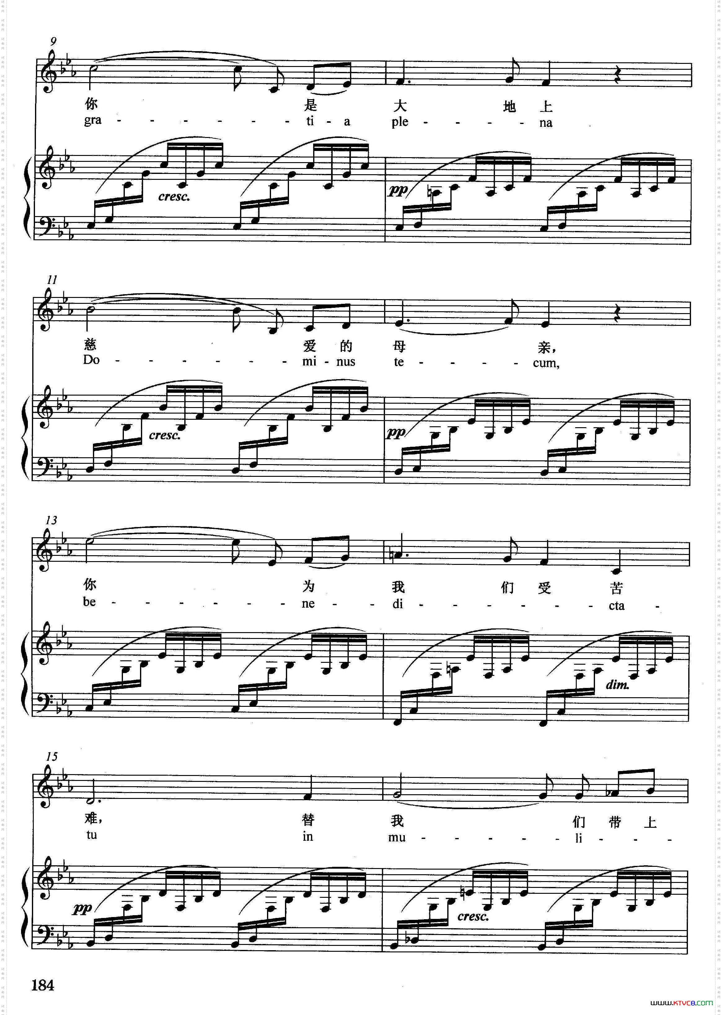 [法]圣母颂正谱