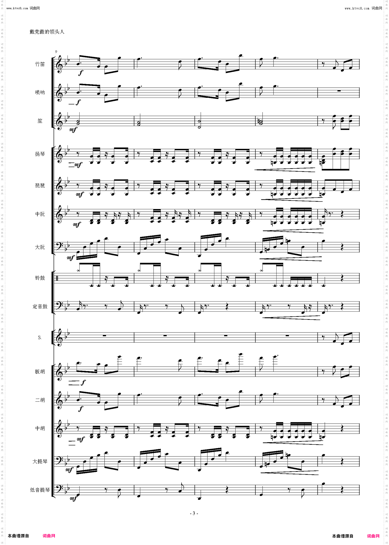 戴党徽的领头人