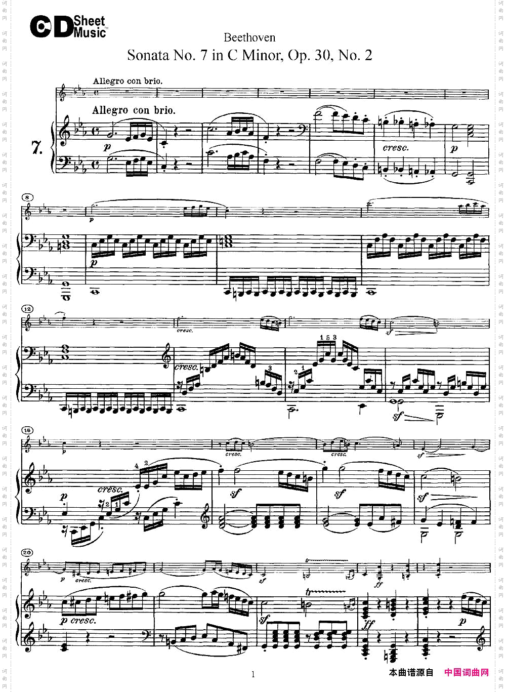 ViolinSonataNo.7inCMinorOp.30No.2小提琴+钢琴伴奏_Violin Sonata No.7 in C Minor Op.30 No.2小提琴+钢琴伴奏