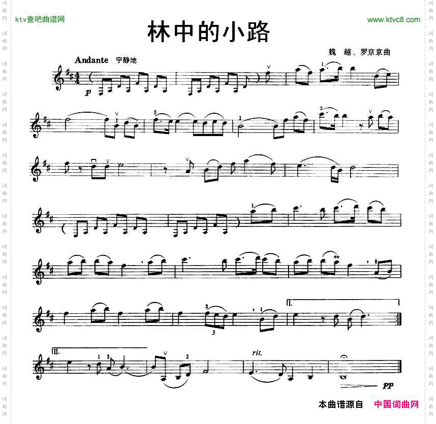 林中的小路