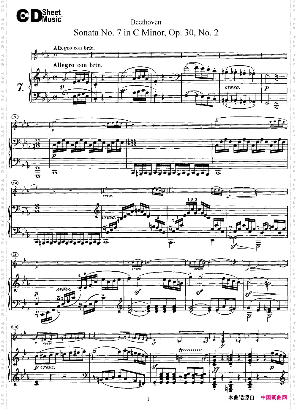 ViolinSonataNo.7inCMinorOp.30No.2小提琴+钢琴伴奏_Violin Sonata No.7 in C Minor Op.30 No.2小提琴+钢琴伴奏