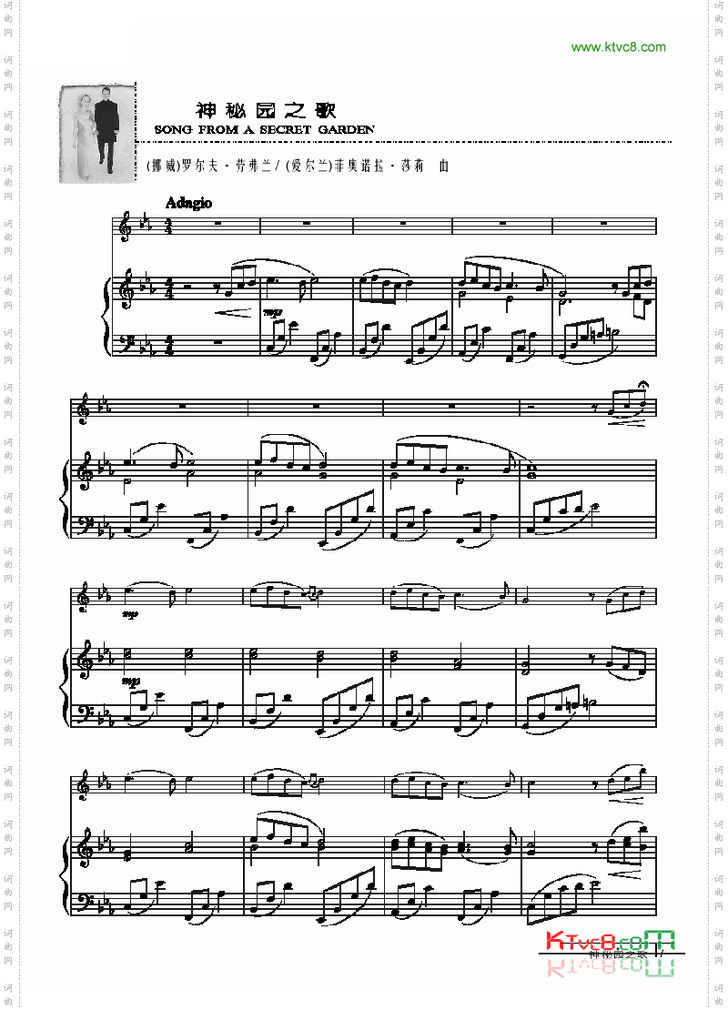 神秘园之歌-钢伴谱弦乐类小提琴