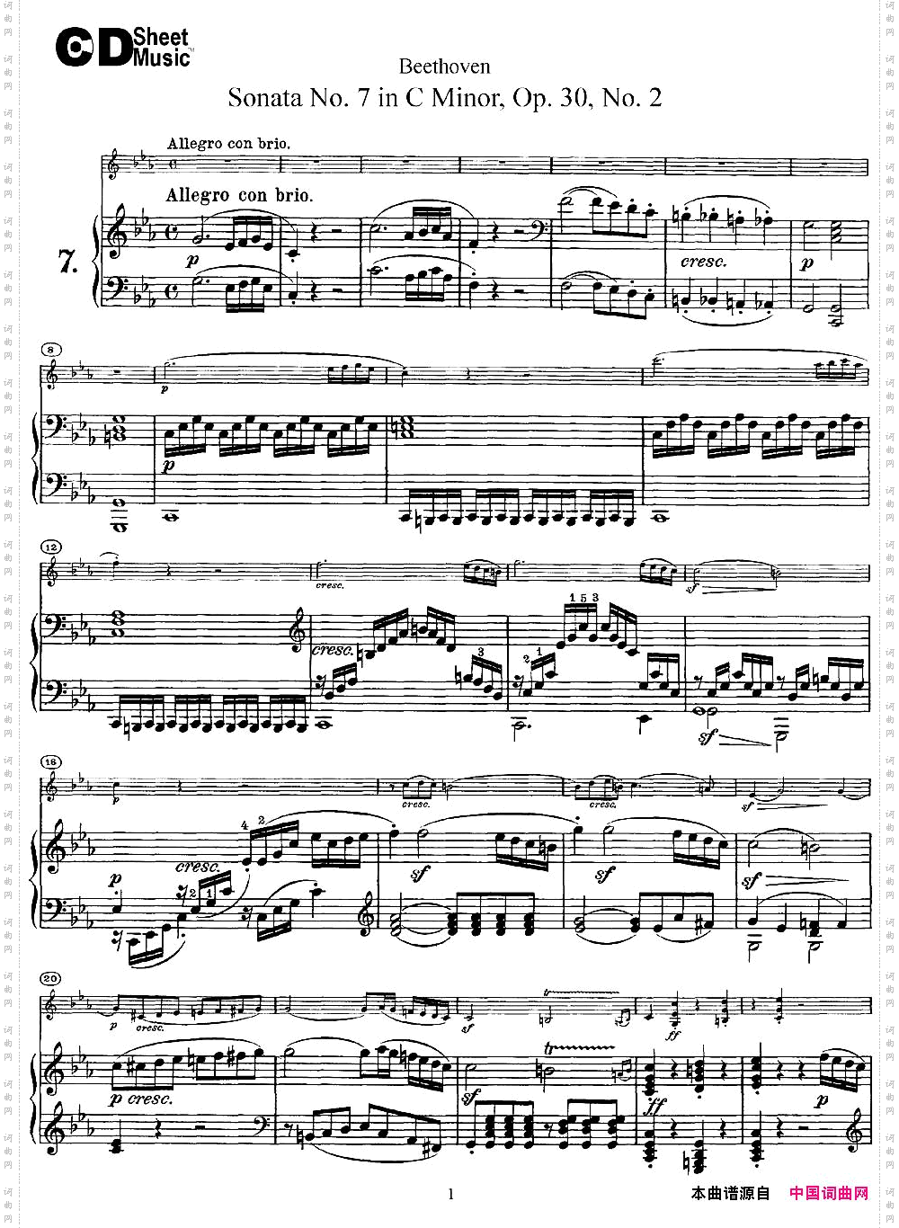 ViolinSonataNo.7inCMinorOp.30No.2小提琴+钢琴伴奏_Violin Sonata No.7 in C Minor Op.30 No.2小提琴+钢琴伴奏
