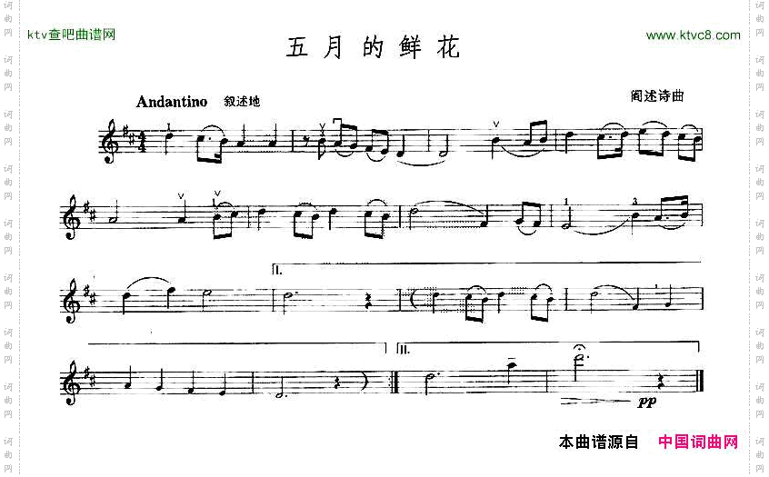 五月的鲜花