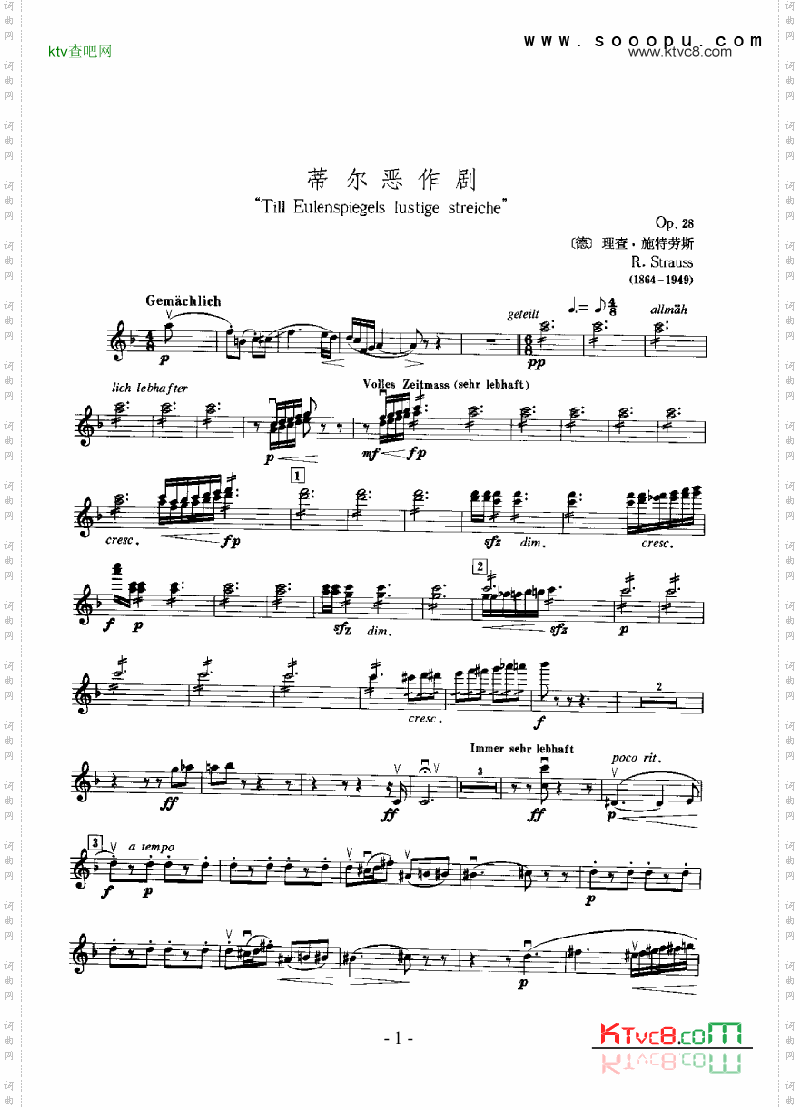 蒂尔恶作剧—独奏弦乐类小提琴