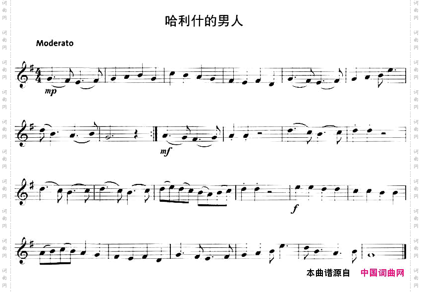 哈利什的男人