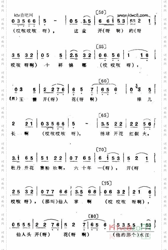 观花二人转