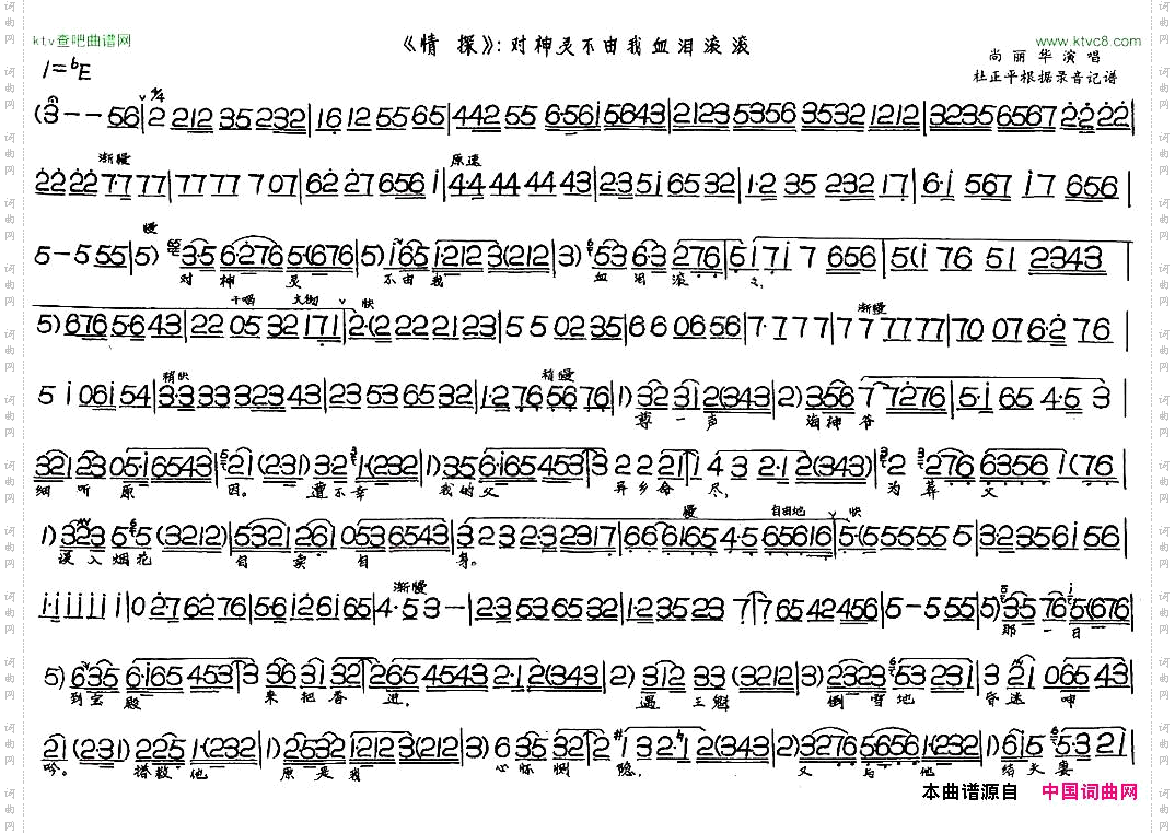 对神灵不由我血泪滚滚《情探》选段