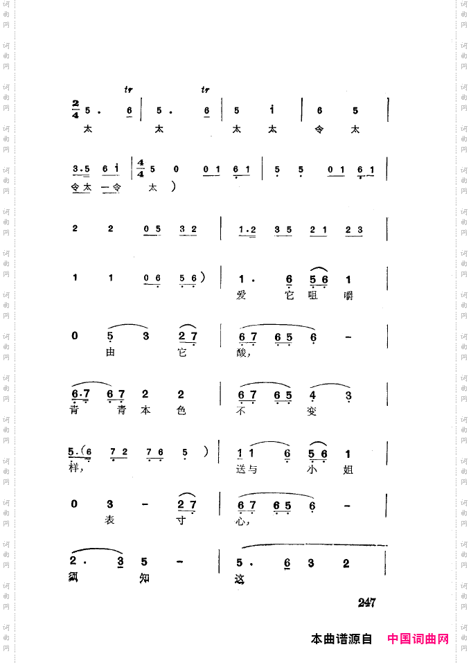 徐玉兰唱腔集成251-300