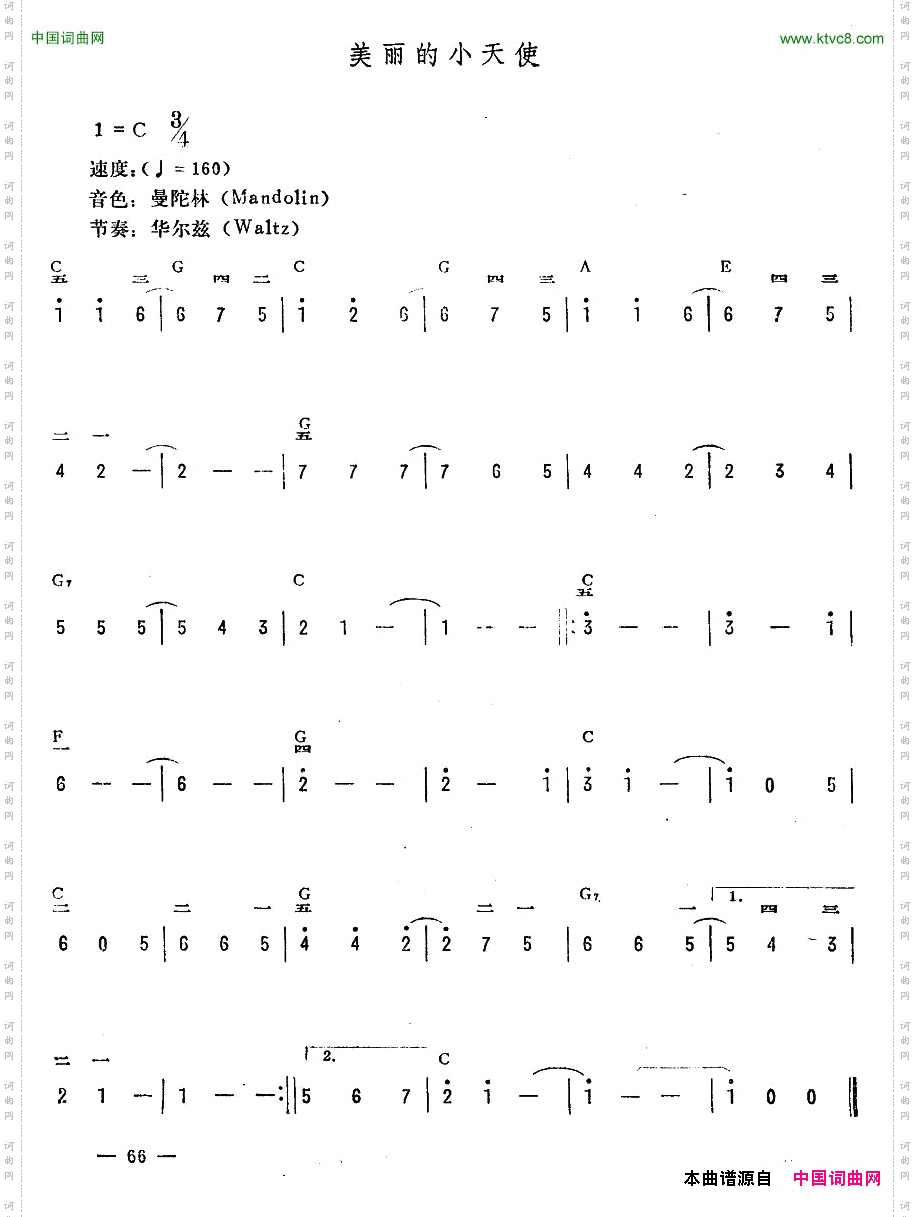 美丽的小天使