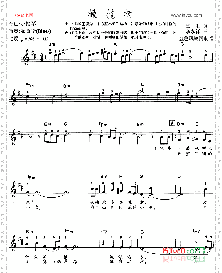 橄榄树