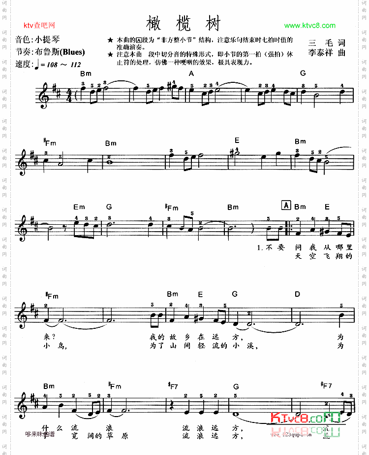 橄榄树
