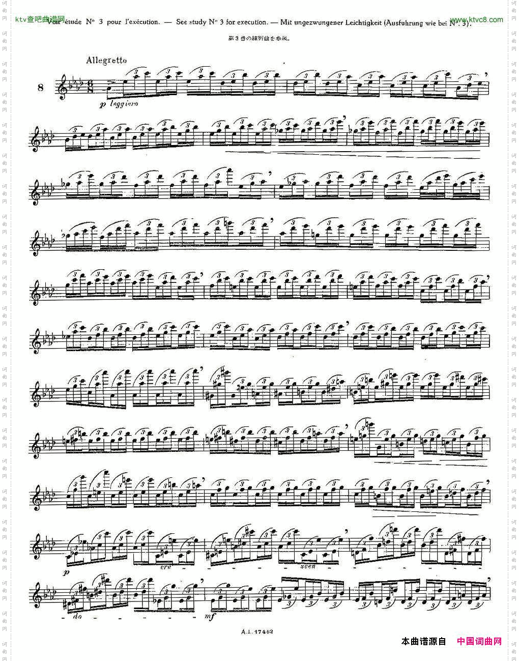 12首大技巧练习曲之8