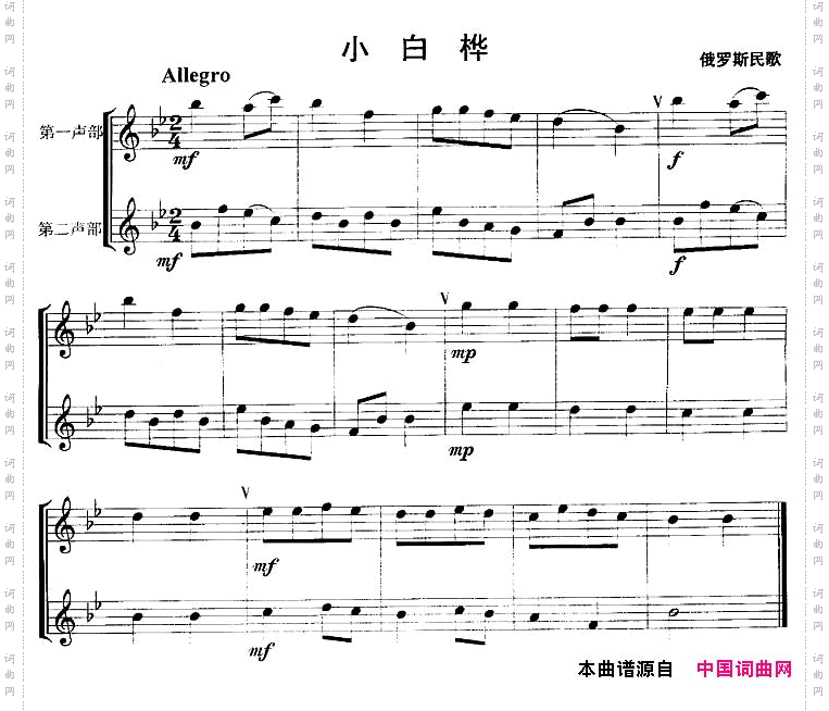 小白桦重奏