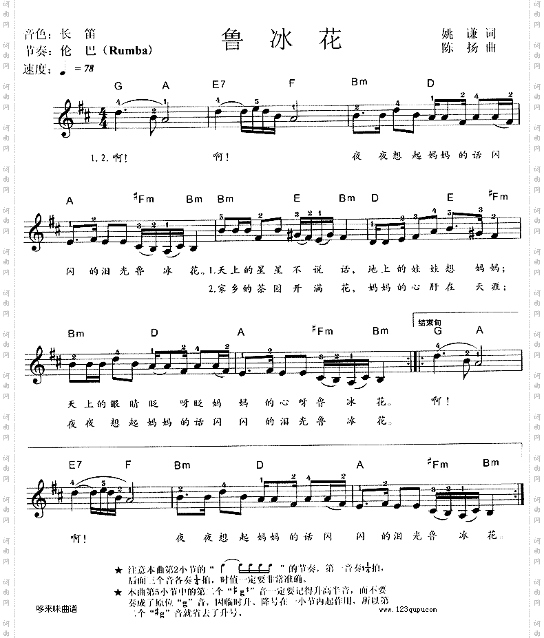 鲁冰花