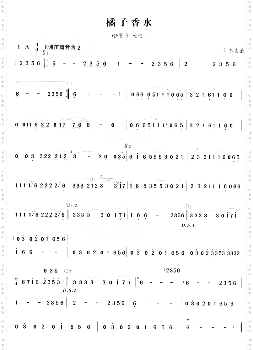 橘子香水任贤齐