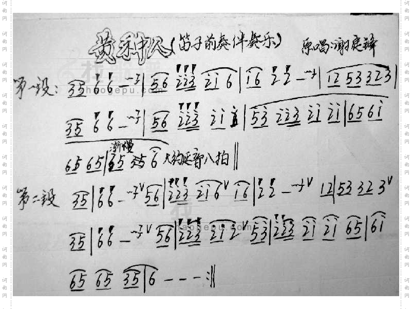 黄种人-配乐笛子曲曲谱