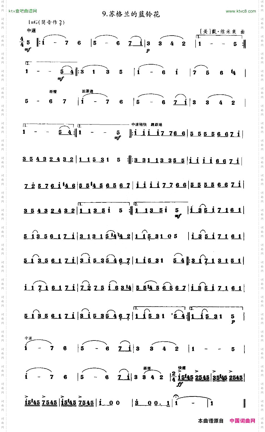 苏格兰的蓝铃花