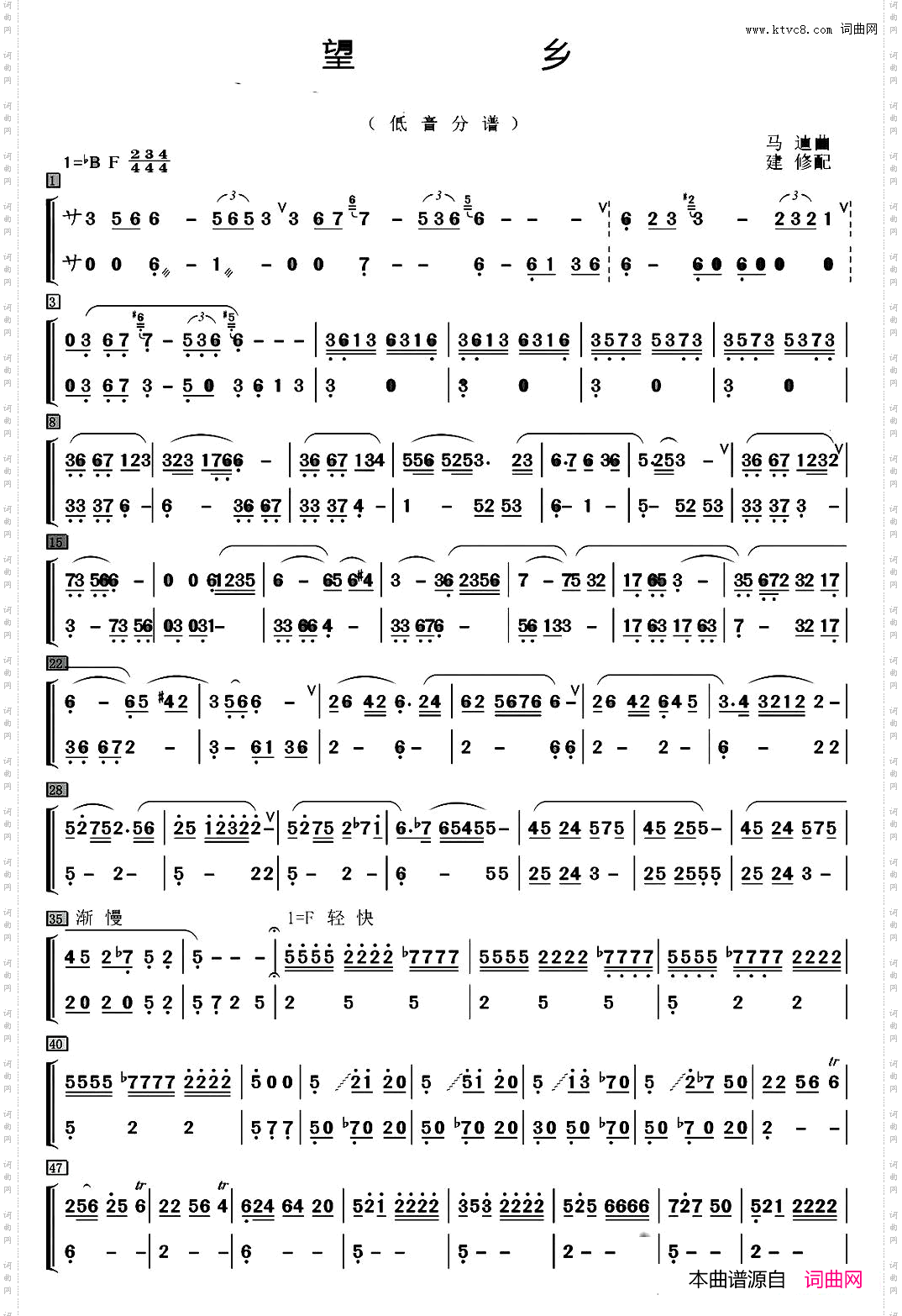望乡笛子独奏+乐队伴奏低音分谱