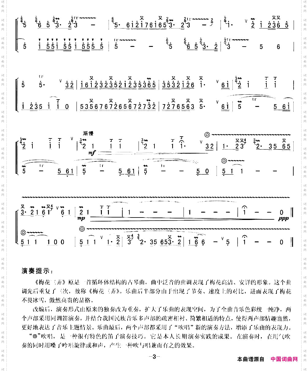 梅花三弄孙学建改编版、二重奏