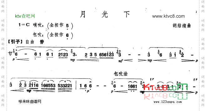月光下