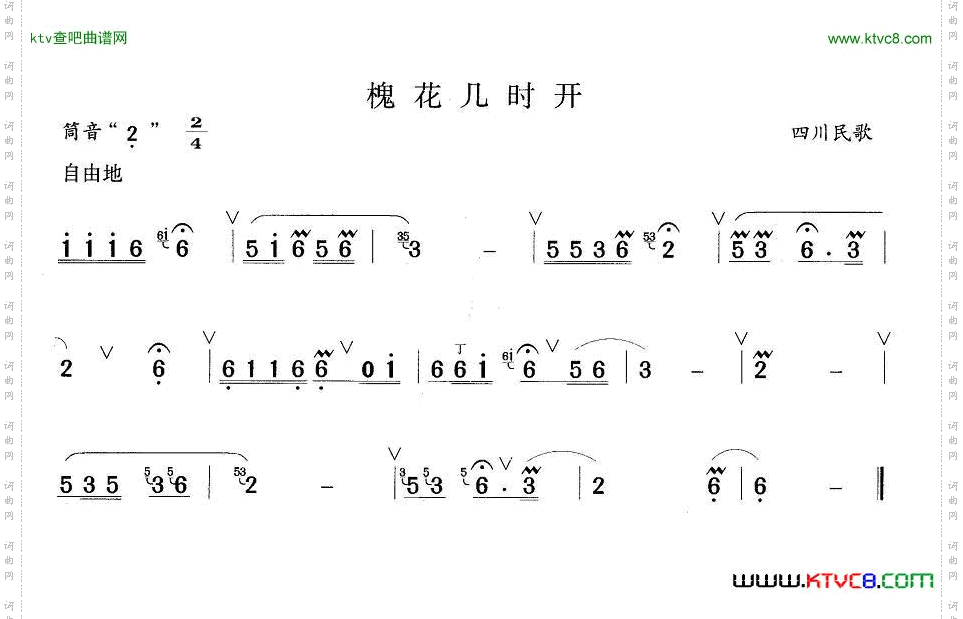 槐花几时开