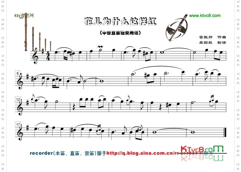 花儿为什么这样红