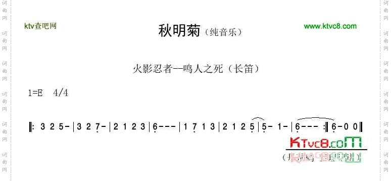 秋明菊