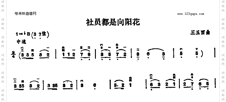 社员都是向阳花