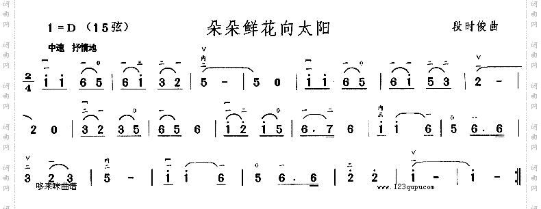 朵朵鲜花向太阳