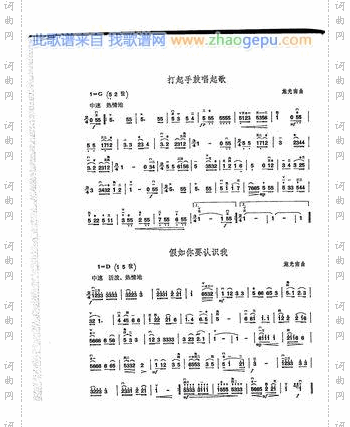 《二胡演奏抒情歌曲100首》二