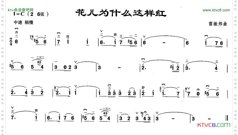 花儿为什么这样红