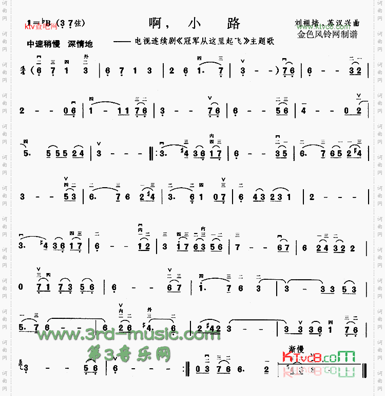 啊小路《冠军从这里起飞》主题歌[二胡曲谱]