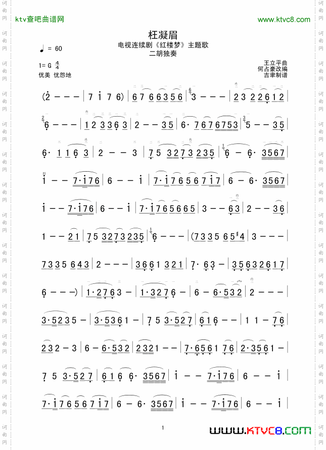 枉凝眉二胡独奏