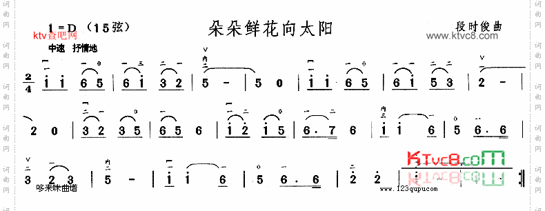 朵朵鲜花向太阳