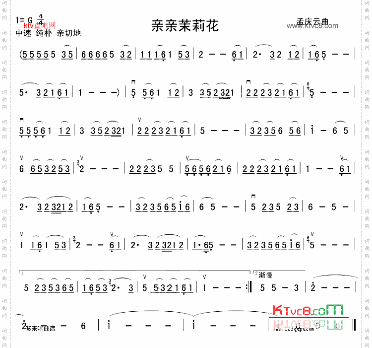 亲亲茉莉花