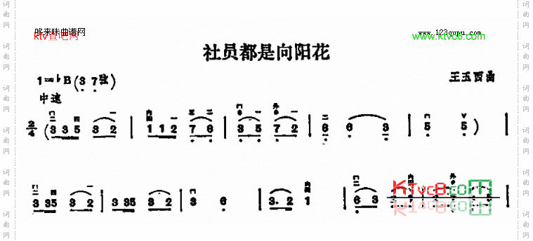 社员都是向阳花