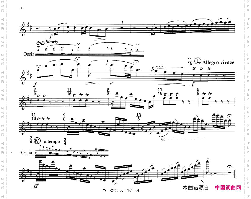 须川展也的《FuzzyBirdSonata》Run,Bird毛绒鸟奏鸣曲之一